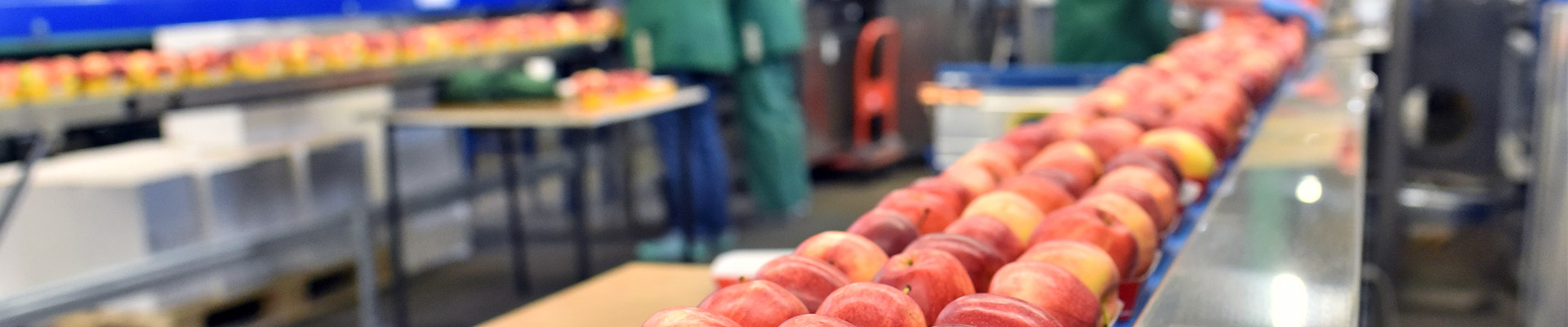 NSFHero_NL NSF Category